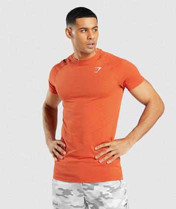 Gymshark Vital Light Seamless Muške T Shirts Narančaste | HR 2460TCE